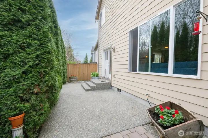 Back patio Greenbelt