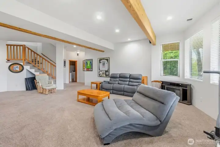 Second Living Room/Family Room on the bottom level
