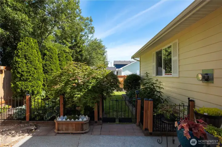 Backyard looking N