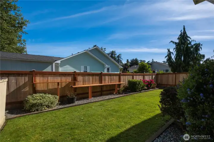 Side yard looking N