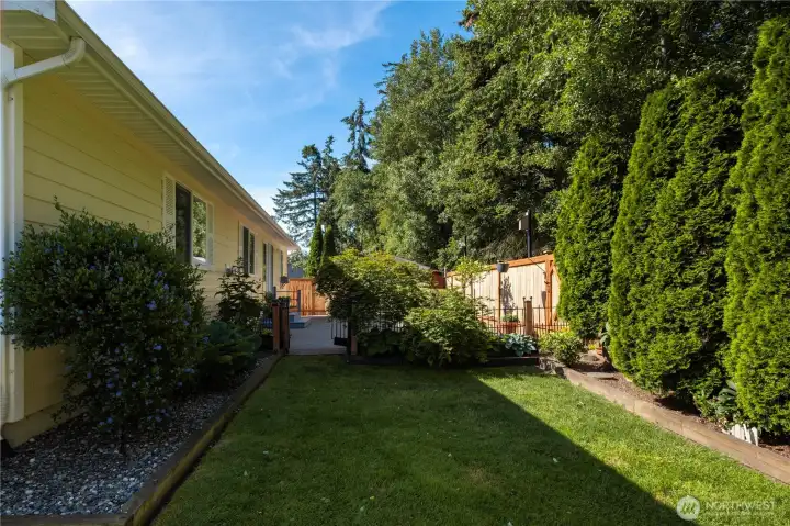 Backyard looking S