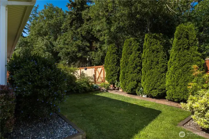 Side yard looking SW