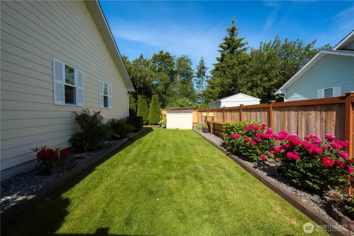 Side yard looking W