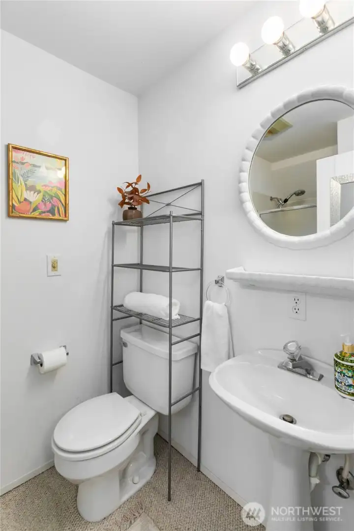 Another view of basement bath with shower
