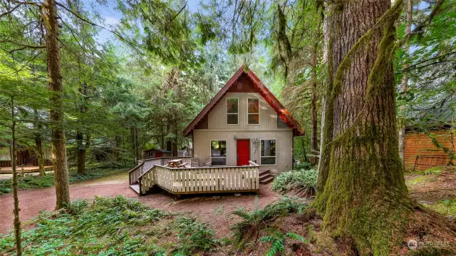 Beautiful, mature trees surround the property providing privacy