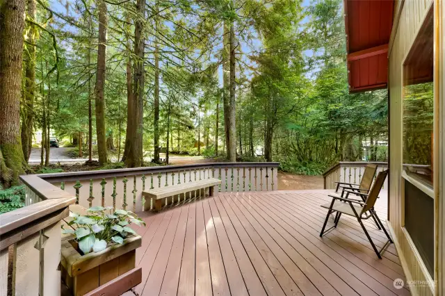 Oversized wrap around porch for relaxing anytime of the day or evening