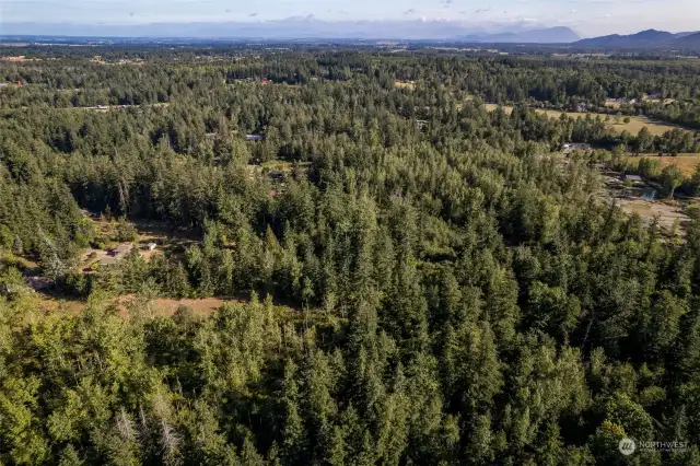 Looking north, the land is in the foreground