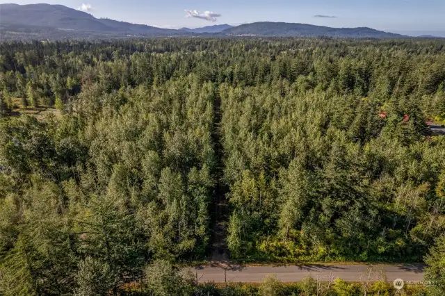 This is the access easement road that runs 300 yards south from Goshen Road.  The land begins at the end of this road