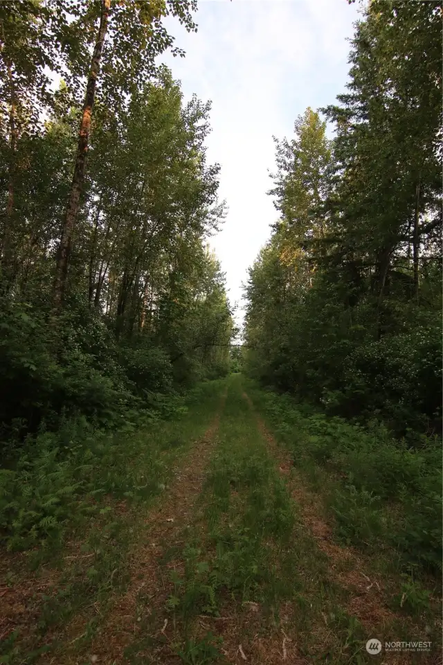 The private lane to access your slice of paradise.  This well built road in to the edge of the land stretches 900 feet to grant privacy