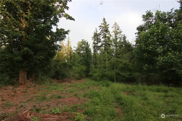 Views towards your best building site under the trees and private