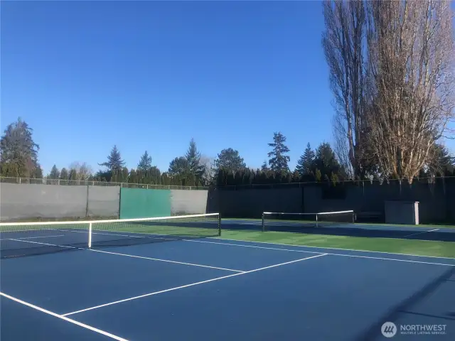 Tennis anyone?
