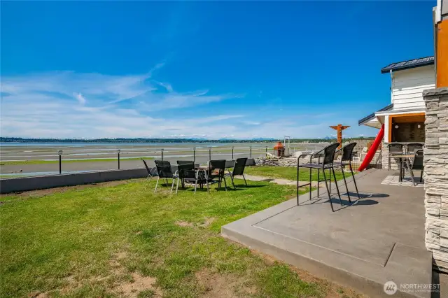 Back yard