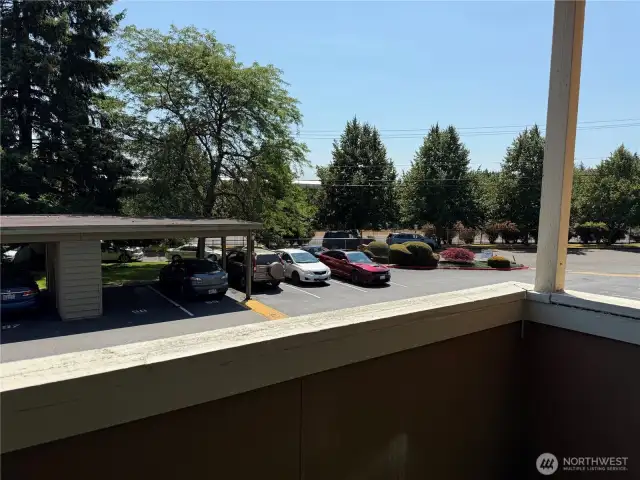 View from Balcony