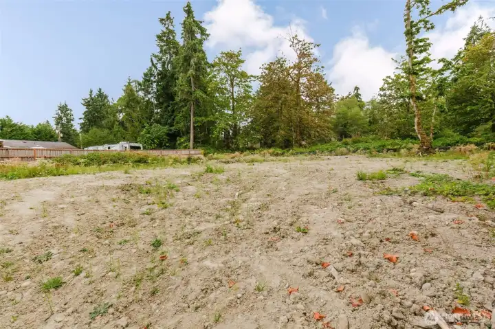 Huge back yard