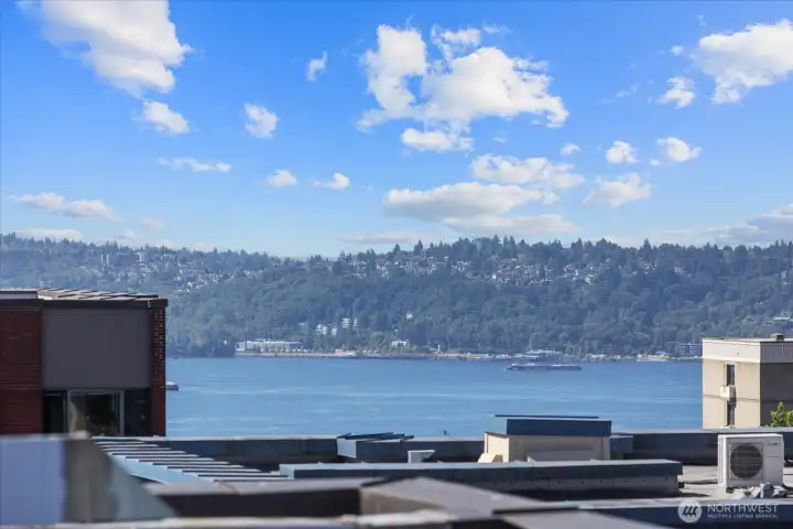 views from roof top