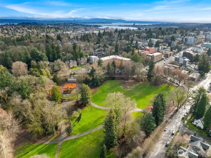 You see here why the building is referred to as "Park Vista"