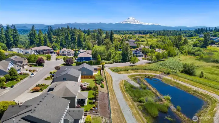 Mt. Rainier views from the back yard and back covered  porch!