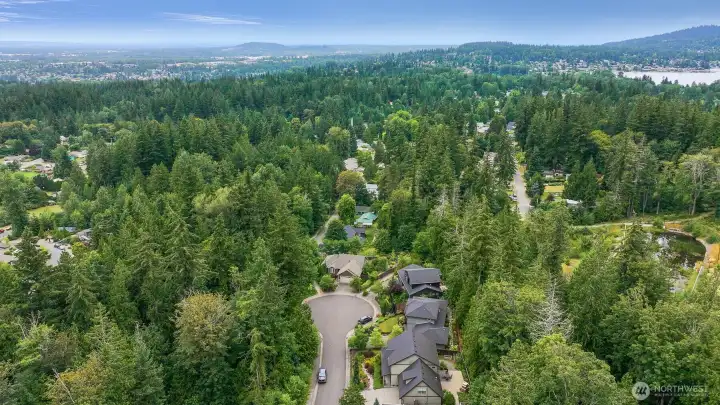 Surrounding trees are all in protected conservation tracts