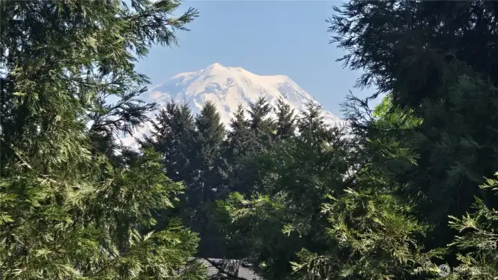 View from upstairs window. Telephoto