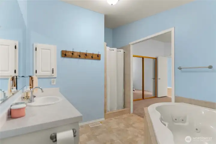 Primary Bathroom with soaker tub and seperate tiled shower