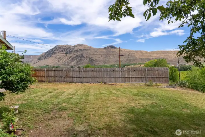 Yard area