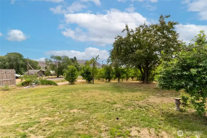 Yard area towards driveway