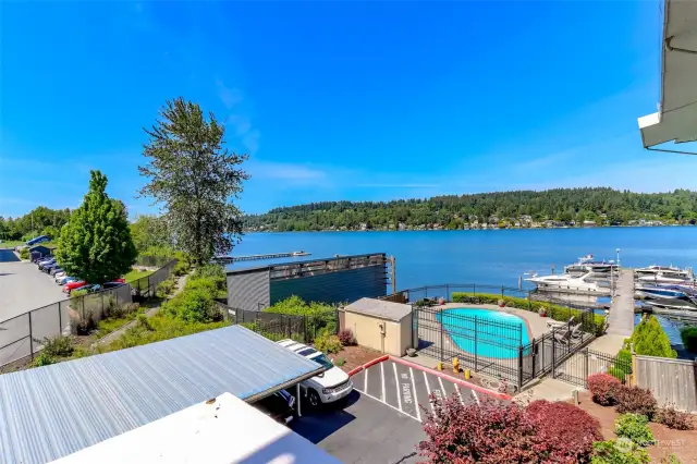 View from your new balcony! Eagles roost in the tall tree overlooking Lake Washington