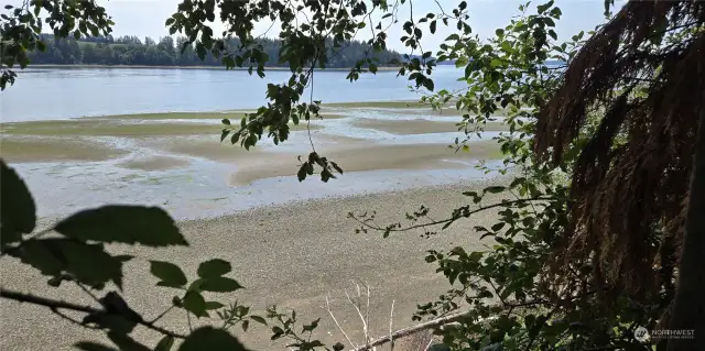 Tides out.  Mc Neill Island in background.