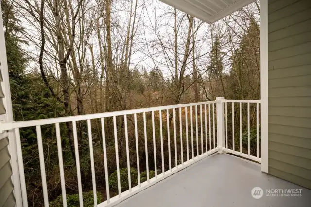 Back Patio overlooking nature preserve