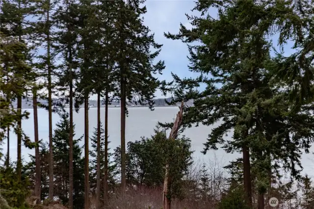 Views from deck