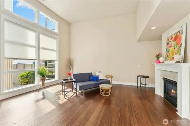 Extra large living room with soaring windows letting in great natural light.