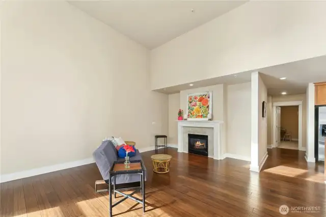 Imagine sitting by this warm and cozy gas fireplace on chilly days.