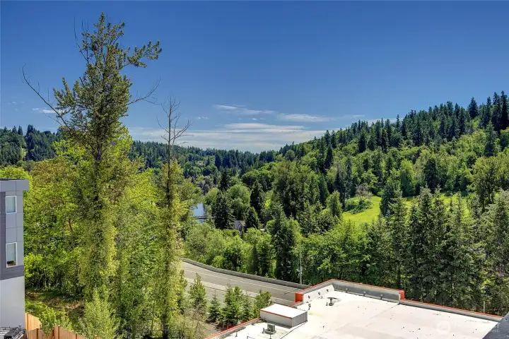 (photos of lot34, same floorplan)