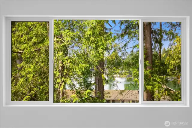 Peek-A-Boo View of Lake Tapps!