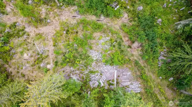 Soil test location.