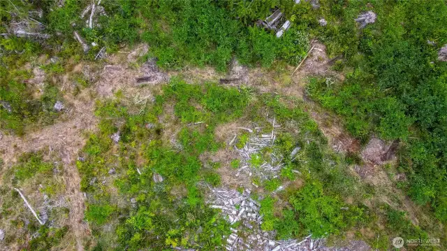 Soil test location.