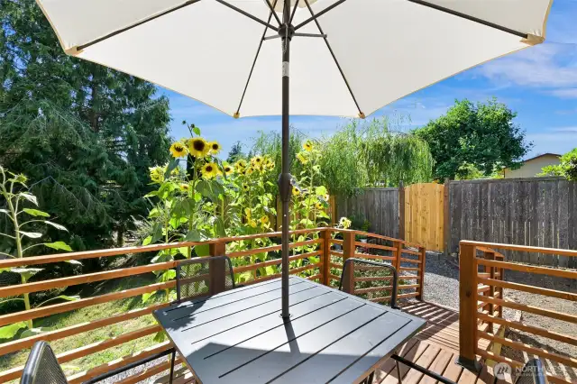 Gorgeous deck space