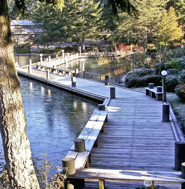 Boardwalk and many trails for your walking pleasure