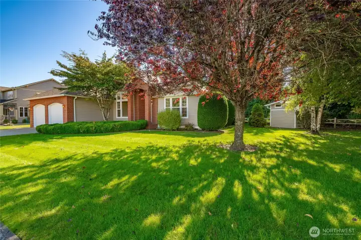 Large Corner Lot