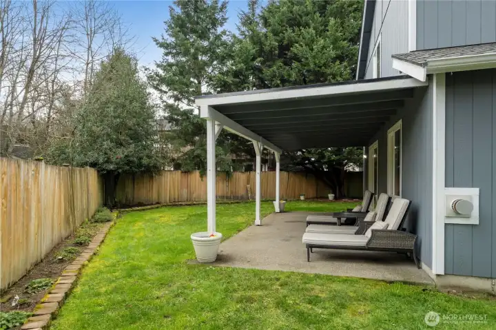 Large back yard view sitting in the sun and looking at nature