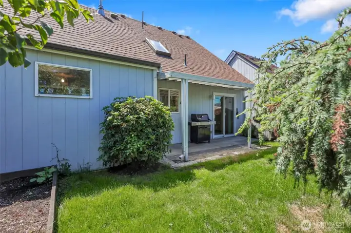 small, fully fenced backyard