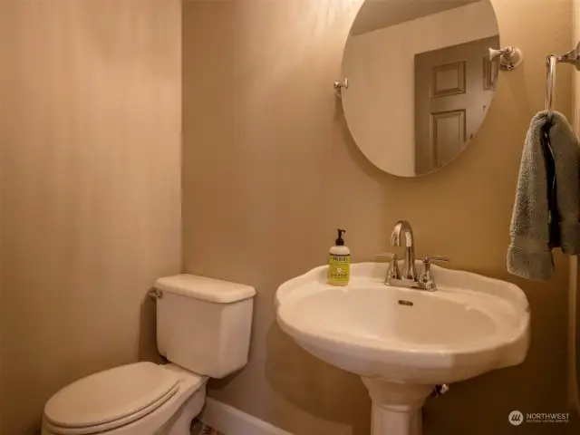 Powder room downstairs