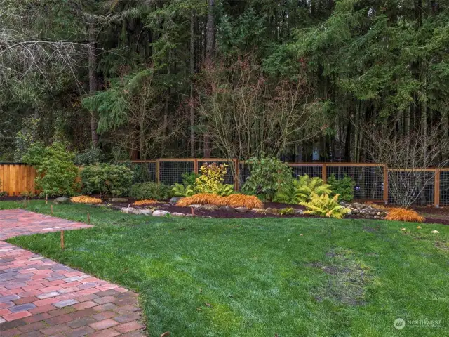 Back Yard with Patio