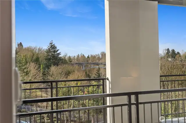 Front Views – Greet the Day with Scenery That Never Gets Old!