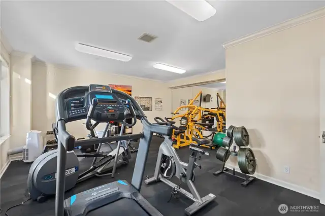 Fully Equipped Gym – Everything You Need in a Small Space!