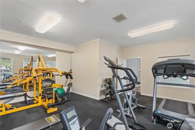 Gym – Everything You Need to Break a Sweat and Feel Great!