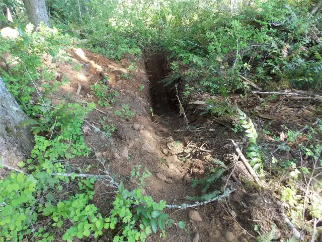 One of the perc holes