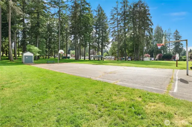 Community park