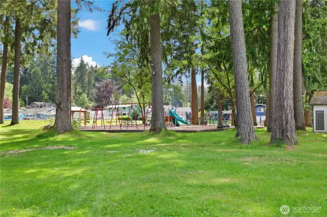 Community park