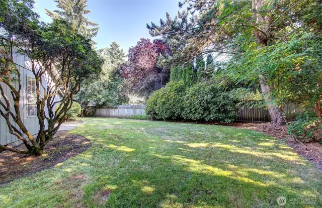 Side Yard